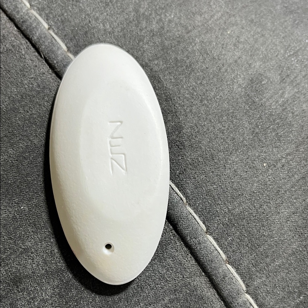 Shiseido ZEN incense holder.